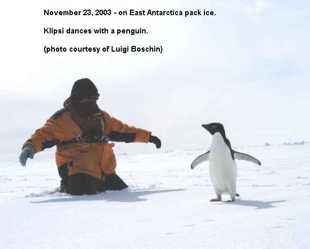 dances with penguin